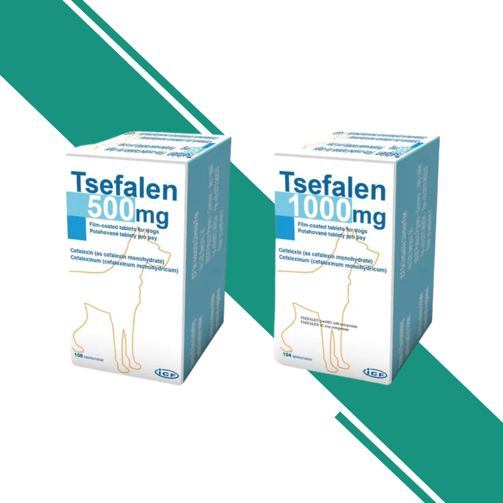 Tsefalen Coated Tablet for Dogs